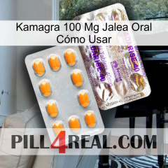 Kamagra 100 Mg Jalea Oral Cómo Usar new12